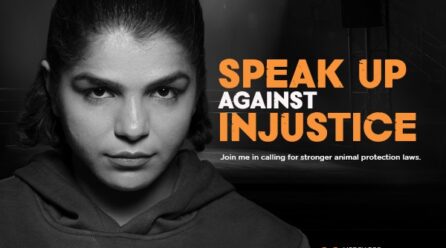 Olympic wrestler Sakshi Malik speaks up again, This time against animal cruelty